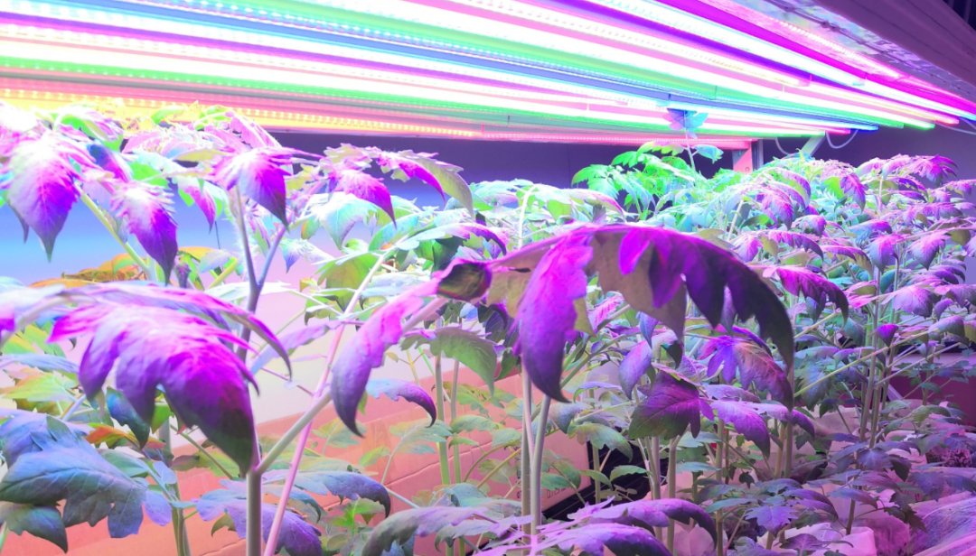 微信图片_20230327101938.jpg 微信图片_20230327101938.jpg